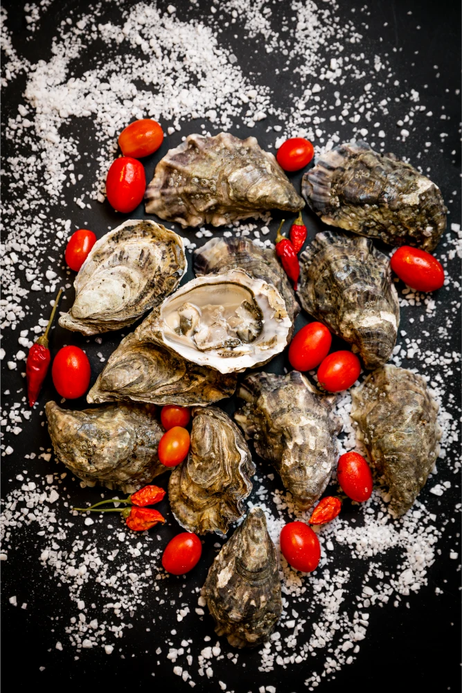 Esperienze di ristorazione e ospitalità sardegna e toscana