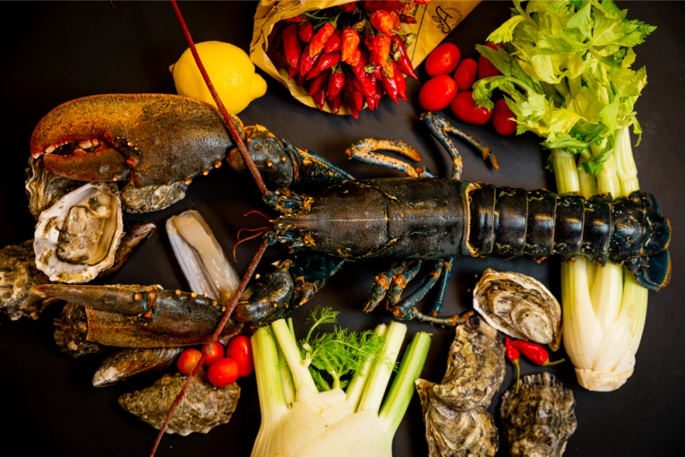 La Transumanza del Gusto e dell’Ospitalità